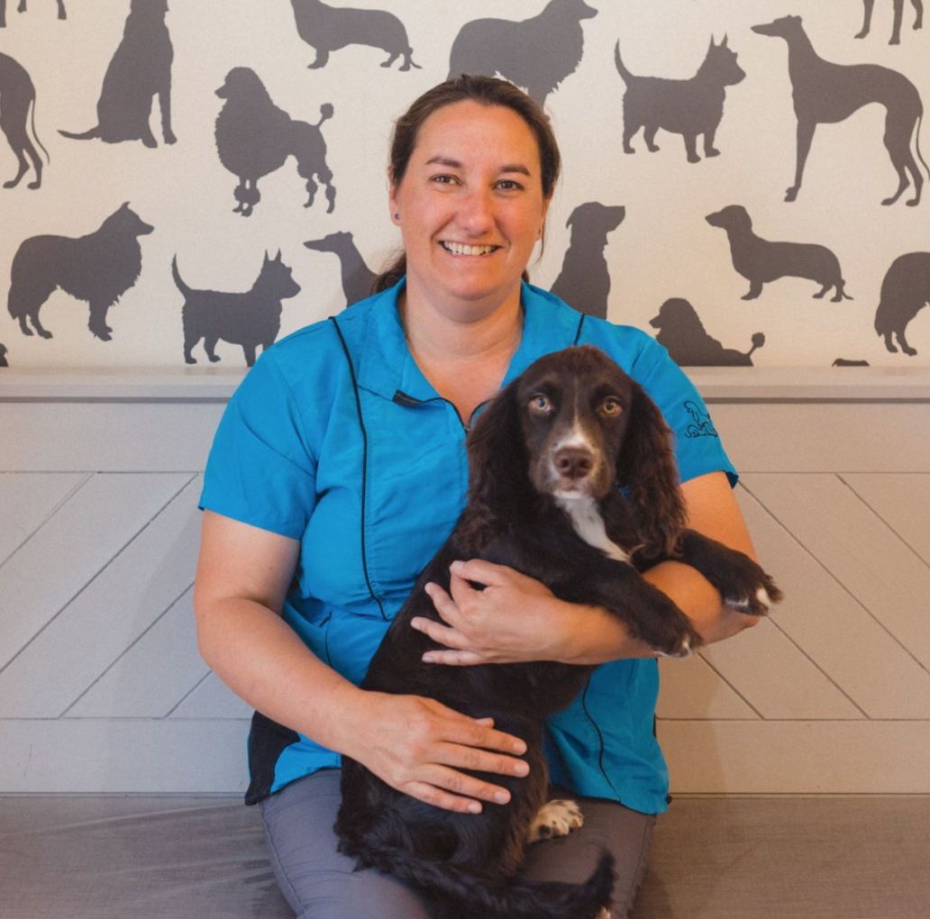 A dog groomer in a bright blue tunic holding a cocker spaniel puppy in a salon decorated with dog silhouettes
